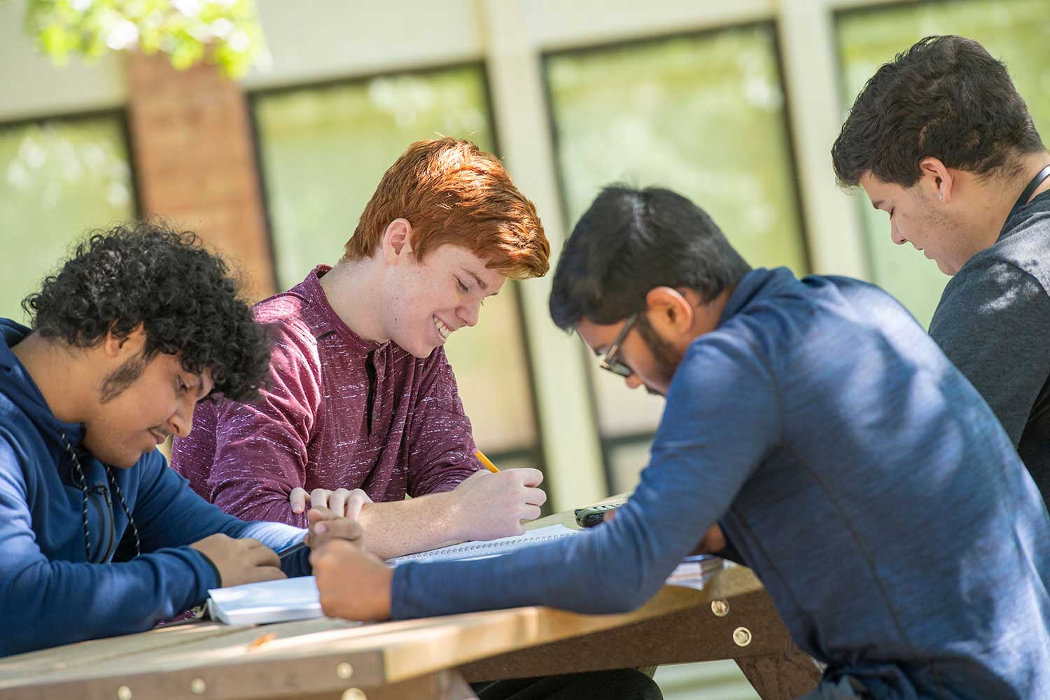 Study group outside