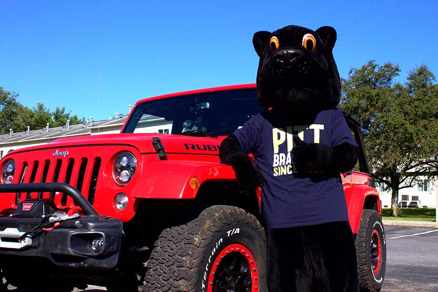 Panther with Jeep