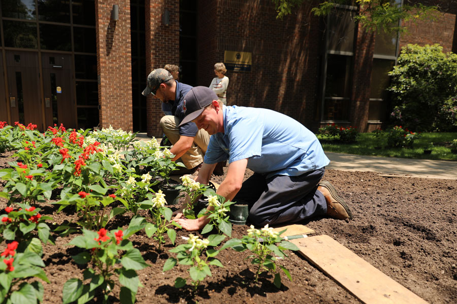 Planting Flowers