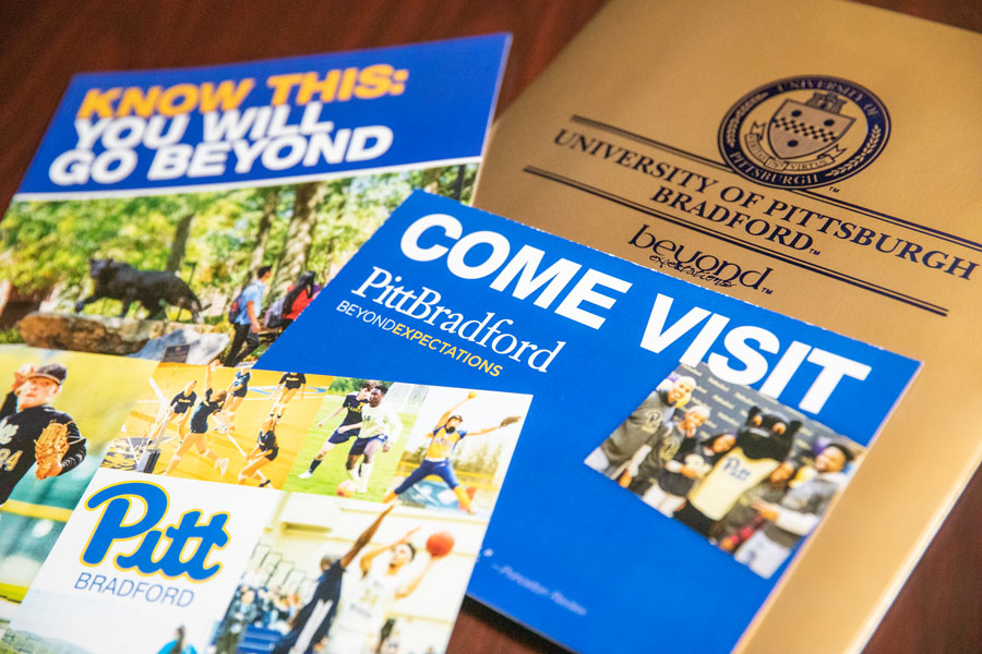 Picture of visitation brochures