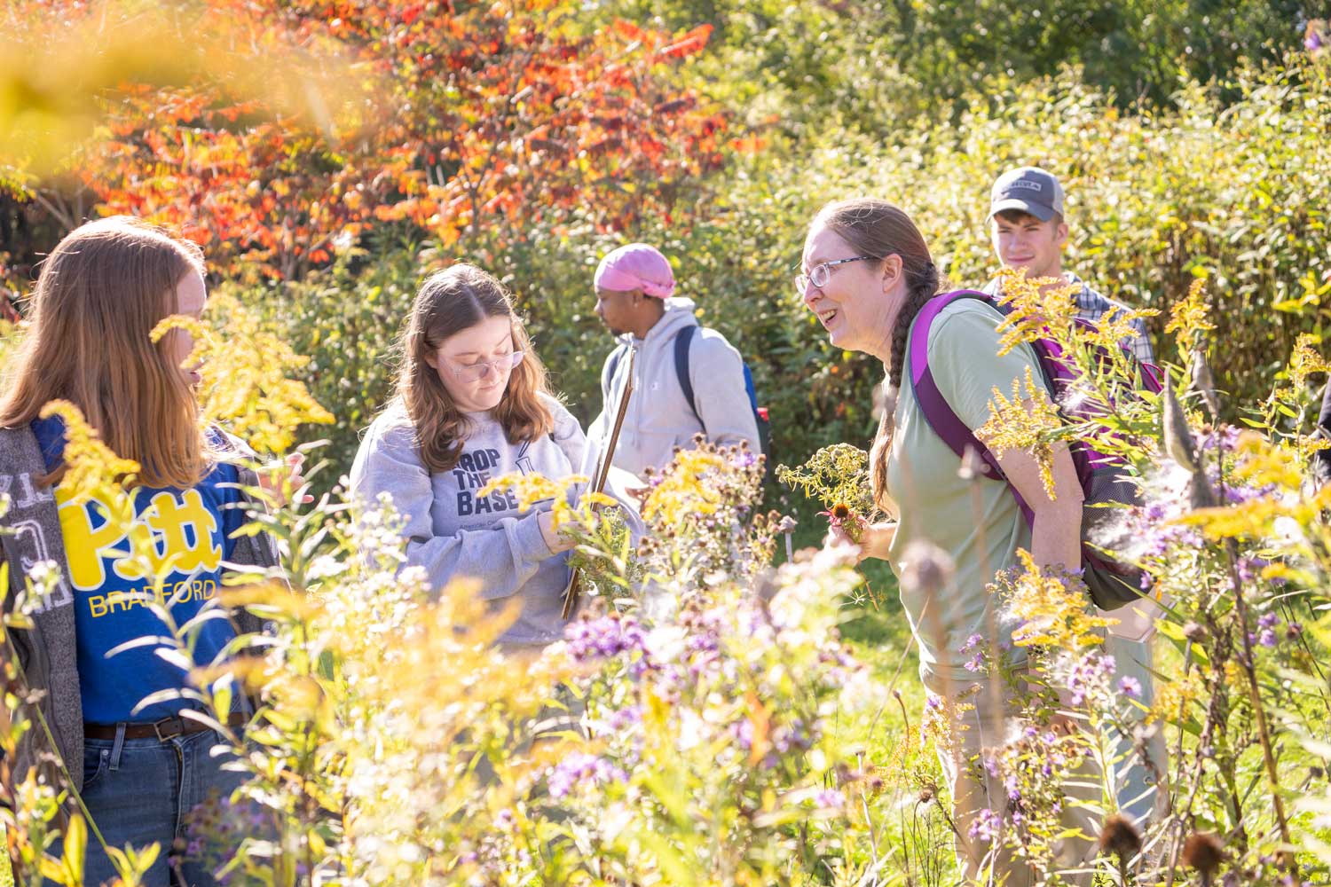 Students learning Field Botany near Campus