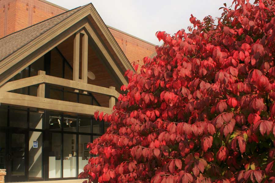 Fall colored leaves in front of building