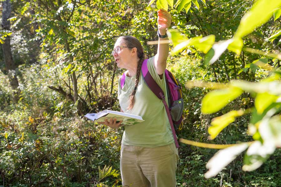 Messages for Mentors cover with Mary Mulcahy outside instructing on botany