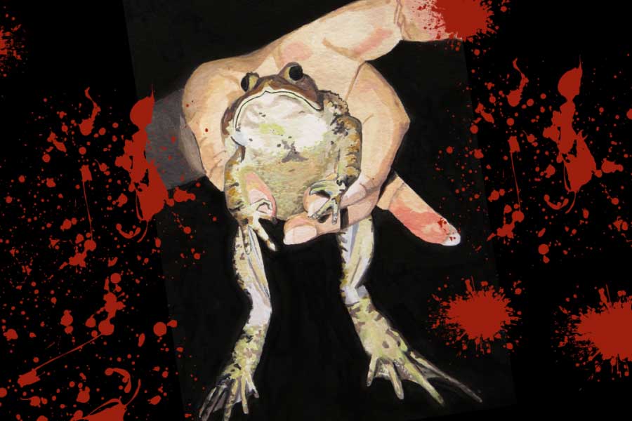 Hand holding frog with blood splatters in background