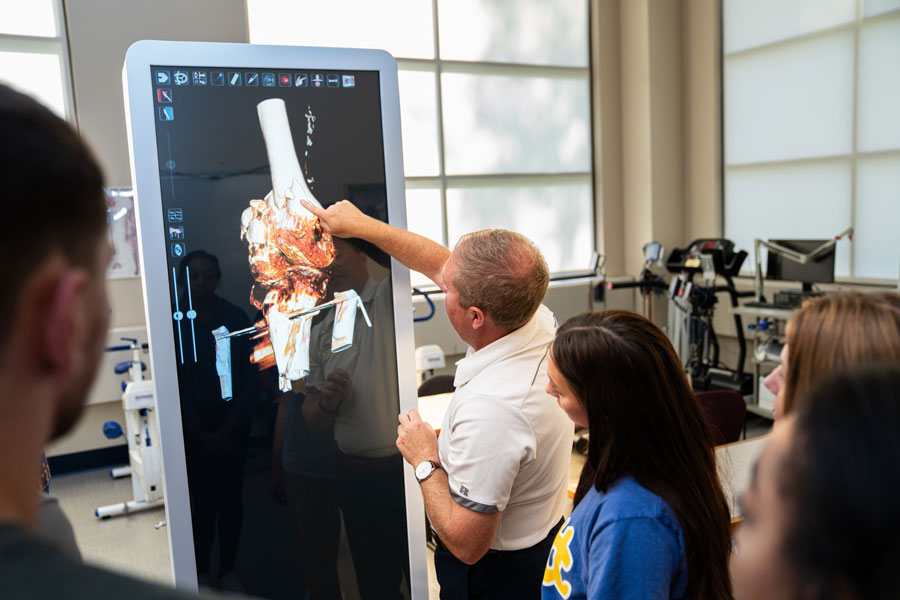 professor showing joint on an anatomage table