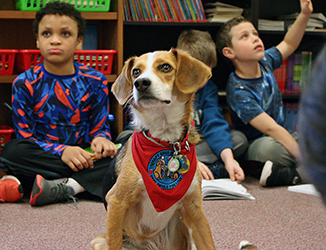 Ellie in the classroom