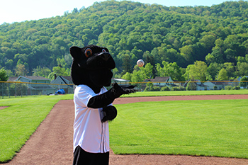 Panther at Ballpark