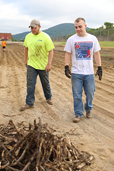 Planting