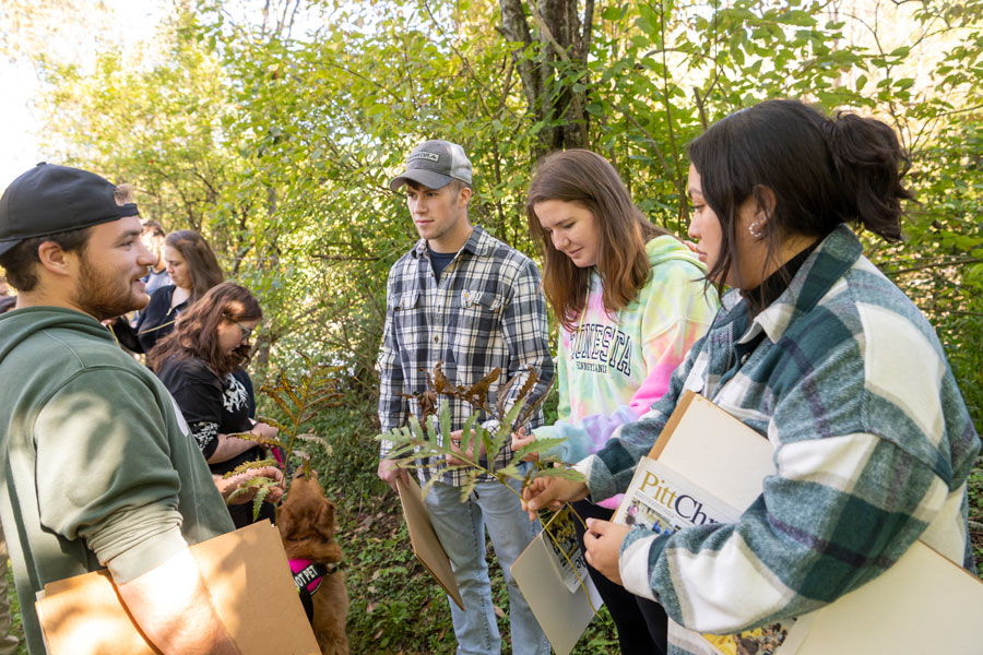Students in field botany gather specimens along a trail on campus