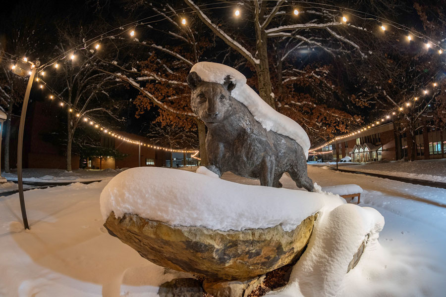 Snow on the panther statue with lights overhead