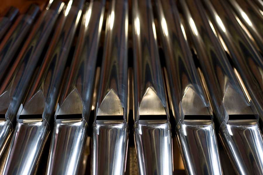 the pipes of an organ