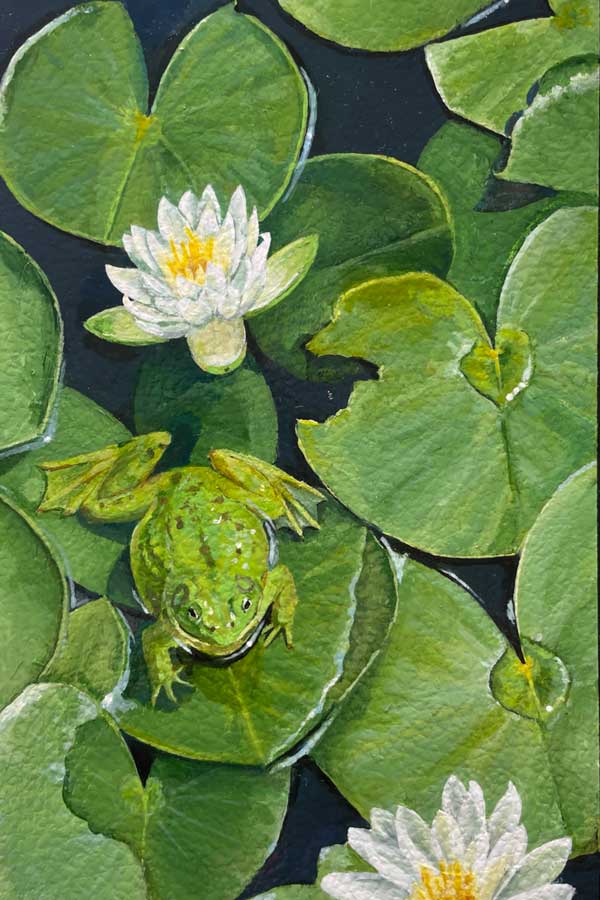 the cover for Bailys Beads; Green lily pads and a frog