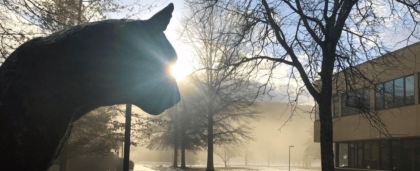 Picture of panther statue in the fog