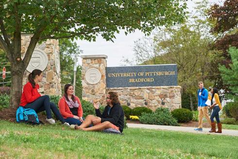 Students sitting in grass