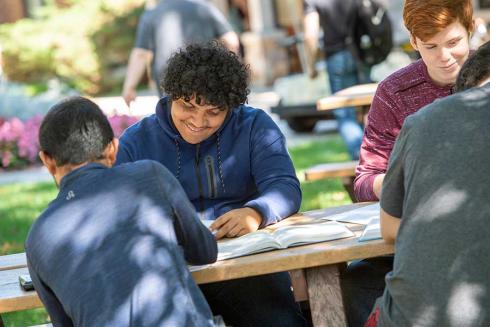 Students studying in quad