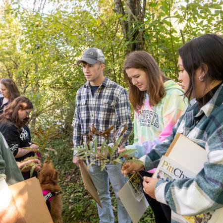 Students in field botany gather specimens along a trail on campus